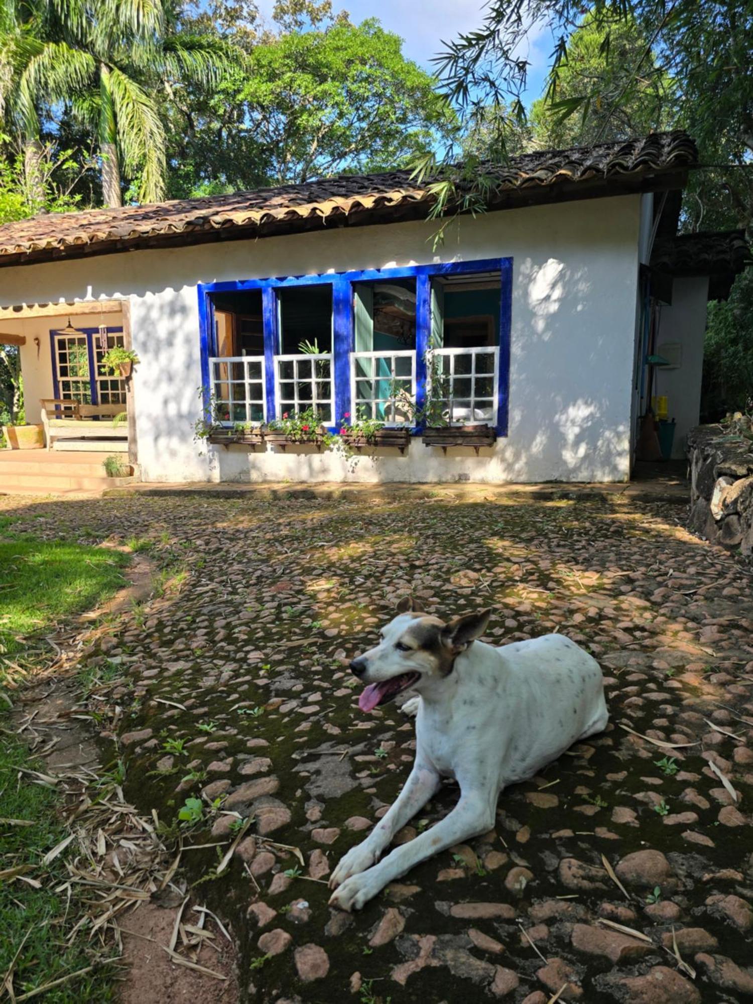 Casa Verde-casa De Temporada No * Bichinho